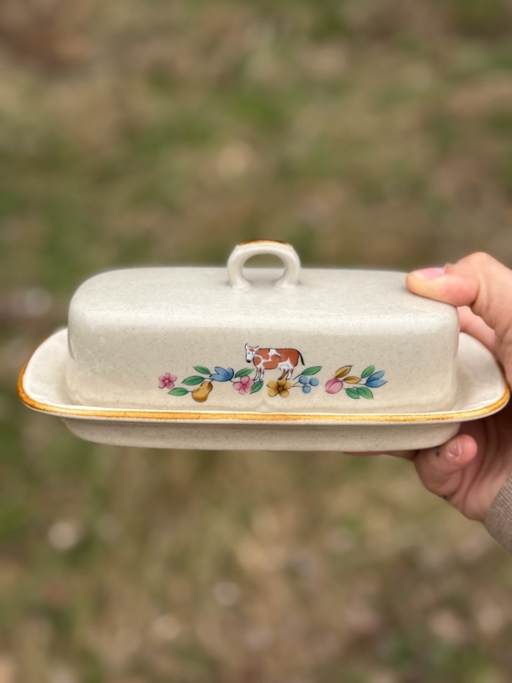 Ceramic Butter Dish with Cow & Floral Motif - Cream